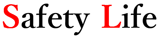 株式会社Safety Life